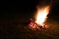 Fire on dark background.Fire Burning wood at night. Campfire of touristic camp in the mountains Royalty Free Stock Photo