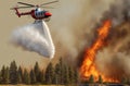 Fire department helicopter extinguishes forest fire