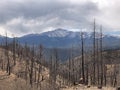 Fire detail and view of Pikes Peak in Colorado Royalty Free Stock Photo