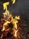 Fire with different colours Royalty Free Stock Photo