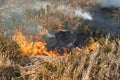 Fire in the dry grass field Royalty Free Stock Photo