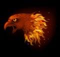 Fire eagle head isolated on black background