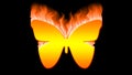 Fire effect butterfly texture