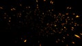 Fire embers particles texture overlays . Burn effect on isolated black background. Design texture Royalty Free Stock Photo