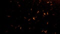 Fire embers particles texture overlays . Burn effect on isolated black background. Design element