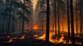 Fire engulfs the forest Royalty Free Stock Photo