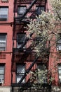 Fire Escape with White Flowering Trees on a Colorful Old Apartment Building on the Upper East Side of New York City during the Spr Royalty Free Stock Photo