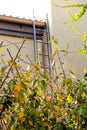 Fire escape staircase on a building - a view through the tree branches Royalty Free Stock Photo