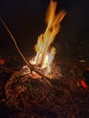Fire evening day the milieu cool Royalty Free Stock Photo
