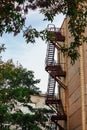 Fire exit stairs on yellow brick wall building behind tree branches with leaves Royalty Free Stock Photo