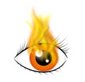 Fire eye Royalty Free Stock Photo