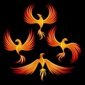 Fire fenix logo elements