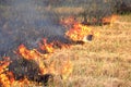 Fire on the field, Burn fields to prepare the soil