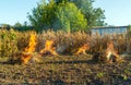 Fire on the field weeds burn after harvest close up view on nature background Royalty Free Stock Photo