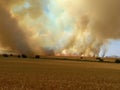 Fire in field after wheat harvest in summer. Large explosion Royalty Free Stock Photo