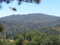 Fire Fighting Helicopter in for Water Refill, Papoose Lake , Lake arrowhead, CA