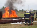 Fire fighting with a powder extinguisher