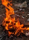 Dangerous Fire.Fire and flames. Black, heat.Fire.Fire Flames Flame Background. Royalty Free Stock Photo
