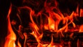 Fire. Fire texture. Burning wood in the fireplace. Close-Up Of Fire In The Dark. Fire flames burning  on black background Royalty Free Stock Photo