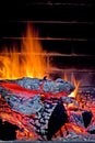 Firewood burns in the fireplace in the house Royalty Free Stock Photo