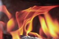 Fire in Fireplace Closeup. Burning Wood Logs and Spruce Branches