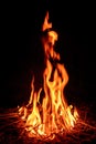 Fire flame Royalty Free Stock Photo