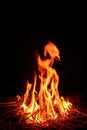 Fire flame Royalty Free Stock Photo