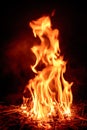 Fire flame Royalty Free Stock Photo