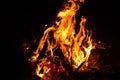 Fire flame of bonfire in night Royalty Free Stock Photo