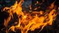 Fire flame is burning on black background Royalty Free Stock Photo