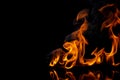 fire and flame burning fuel oil gas png on black background Royalty Free Stock Photo