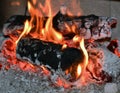 Fire flame, burning wood at the fireplace. Firewood log in the fire chimney, closeup