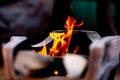 Fire flame burning wood on stove and blurred background Royalty Free Stock Photo