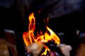 Fire flame burning wood on stove and blurred background Royalty Free Stock Photo