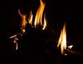 Fire flame caused by burning of wood on a black background Royalty Free Stock Photo