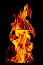 Fire flame isolated on black isolated background - Beautiful yellow, orange and red and red blaze fire flame texture style Royalty Free Stock Photo