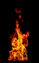 Fire flame isolated on black isolated background - Beautiful yellow, orange and red and red blaze fire flame texture style Royalty Free Stock Photo