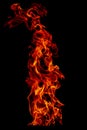 Fire flame set isolated on black isolated background - Beautiful yellow, orange and red and red blaze fire flame texture style Royalty Free Stock Photo