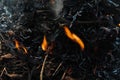 Fire, flame and smoke of a fire, bonfire on earth Royalty Free Stock Photo