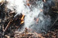 Fire, flame and smoke of a fire, bonfire on earth Royalty Free Stock Photo