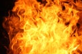 Fire flame texture background Royalty Free Stock Photo