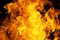Fire flame texture background Royalty Free Stock Photo