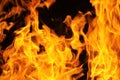 Fire flame texture background Royalty Free Stock Photo