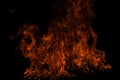 Fire flame texture for banner background. Burn abstract lights. Burning big flame. Blaze flames overlay background. Royalty Free Stock Photo