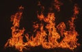 Fire flame texture for banner background. Burn abstract lights. Burning big flame. Blaze flames overlay background. Royalty Free Stock Photo