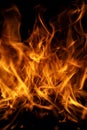 Fire flame textured background. Burning fire. Fire flames on black background. Blaze fire flame background. Royalty Free Stock Photo