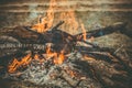 Fire Flame wooden camp burning Outdoor Royalty Free Stock Photo