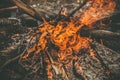 Fire Flame wooden camp burning Outdoor Royalty Free Stock Photo