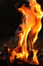 Fire flames Royalty Free Stock Photo