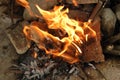Fire flames Royalty Free Stock Photo
